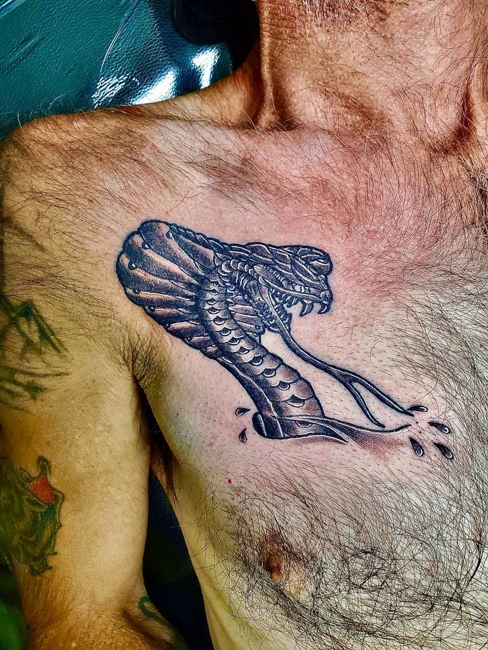 Black & Grey + Illustrative snake tattoo on Chest by William_Samaras on TattMe