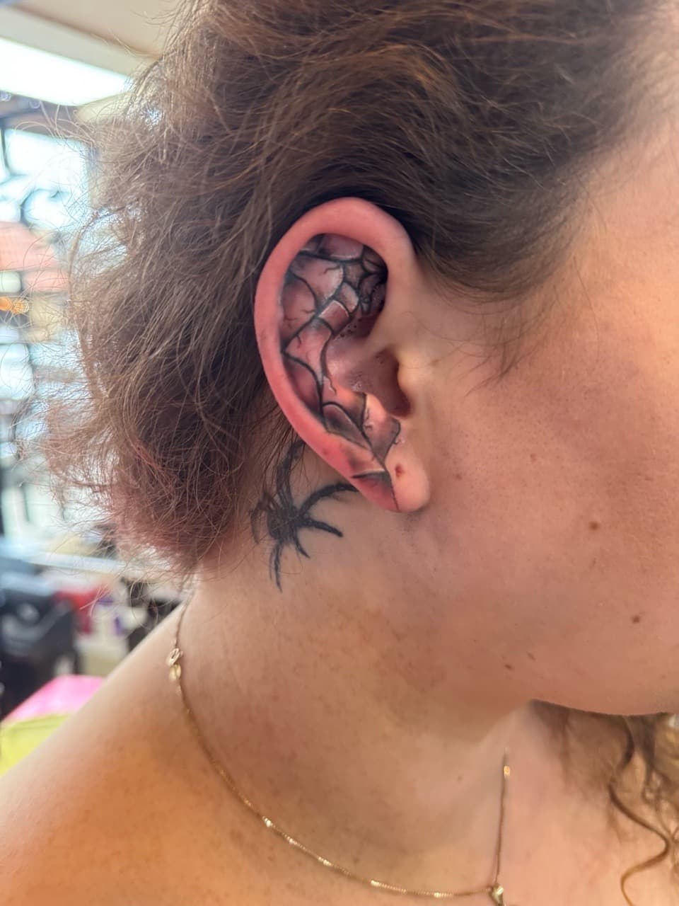 Black & Grey + Illustrative spiderweb tattoo on Behind Ear by William_Samaras on TattMe