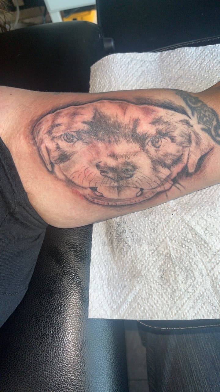 Black & Grey + Realism dog tattoo on Forearm by Studio_22 on TattMe