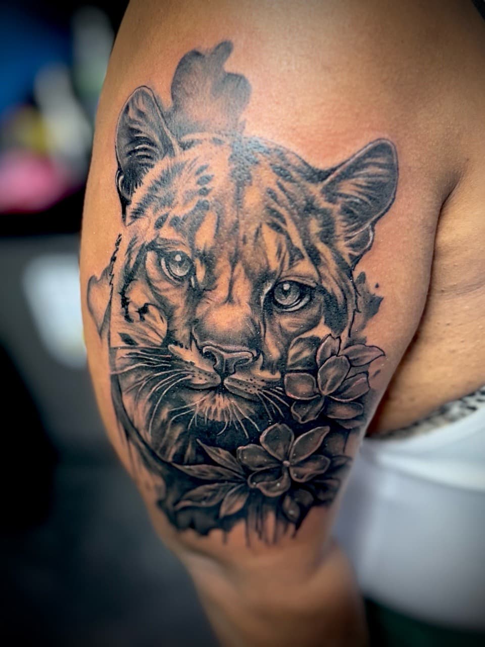 Black & Grey + Realism puma tattoo on Upper Arm by Juggin_Ink_Studios on TattMe
