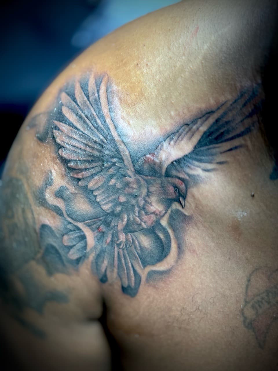 Black & Grey + Illustrative bird tattoo on Shoulder by Juggin_Ink_Studios on TattMe