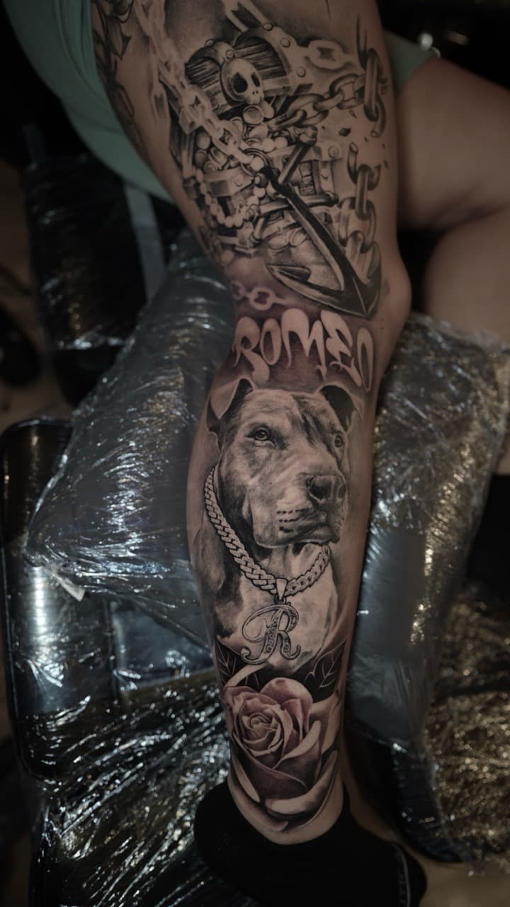 Black & Grey + Realism pitbull tattoo on Calf by Satchmoe_Art on TattMe