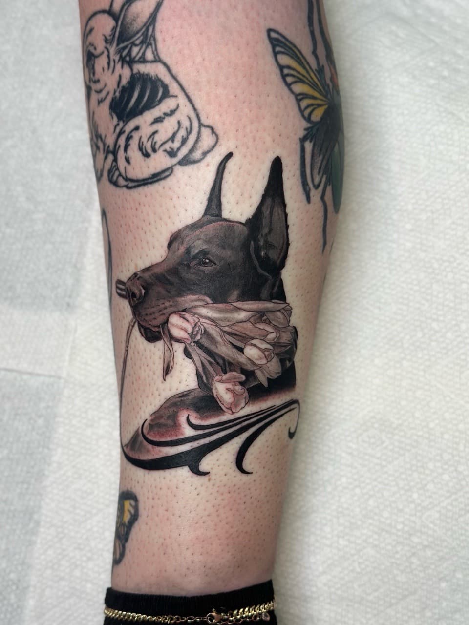 Realism + Black & Grey doberman tattoo on Calf by ArtIsTatts on TattMe