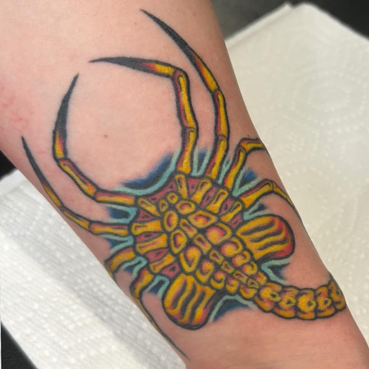 Color + New School facehugger tattoo on Forearm by Adawgsart on TattMe