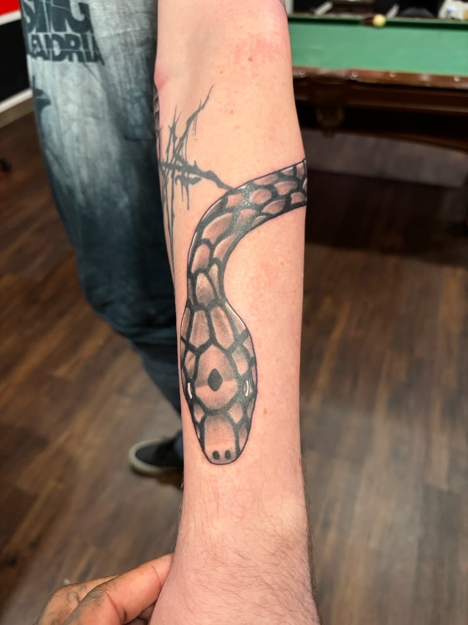 Black & Grey + Illustrative snake tattoo on Forearm by Ink_Mob_Studios on TattMe