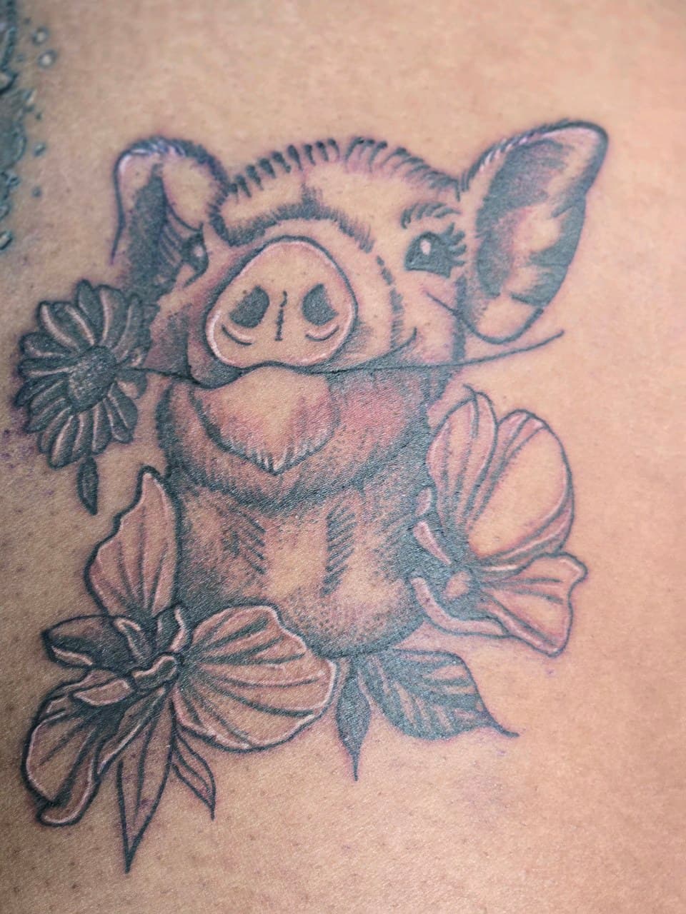Black & Grey + Illustrative pig tattoo on Upper Back by Inkytat2z on TattMe