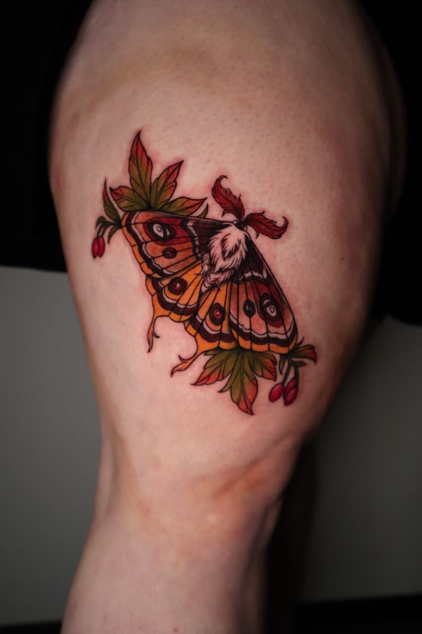 Neo-Traditional + Color moth tattoo on Upper Arm by SkaijRose on TattMe