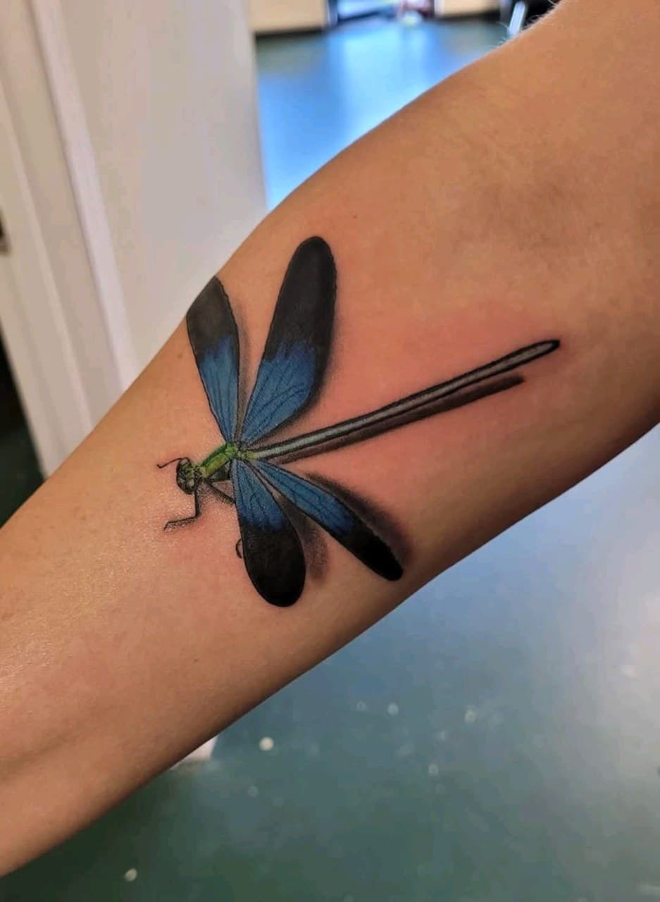 Realism + Color dragonfly tattoo on Forearm by 2nd_Circle_Tattoo_Co on TattMe