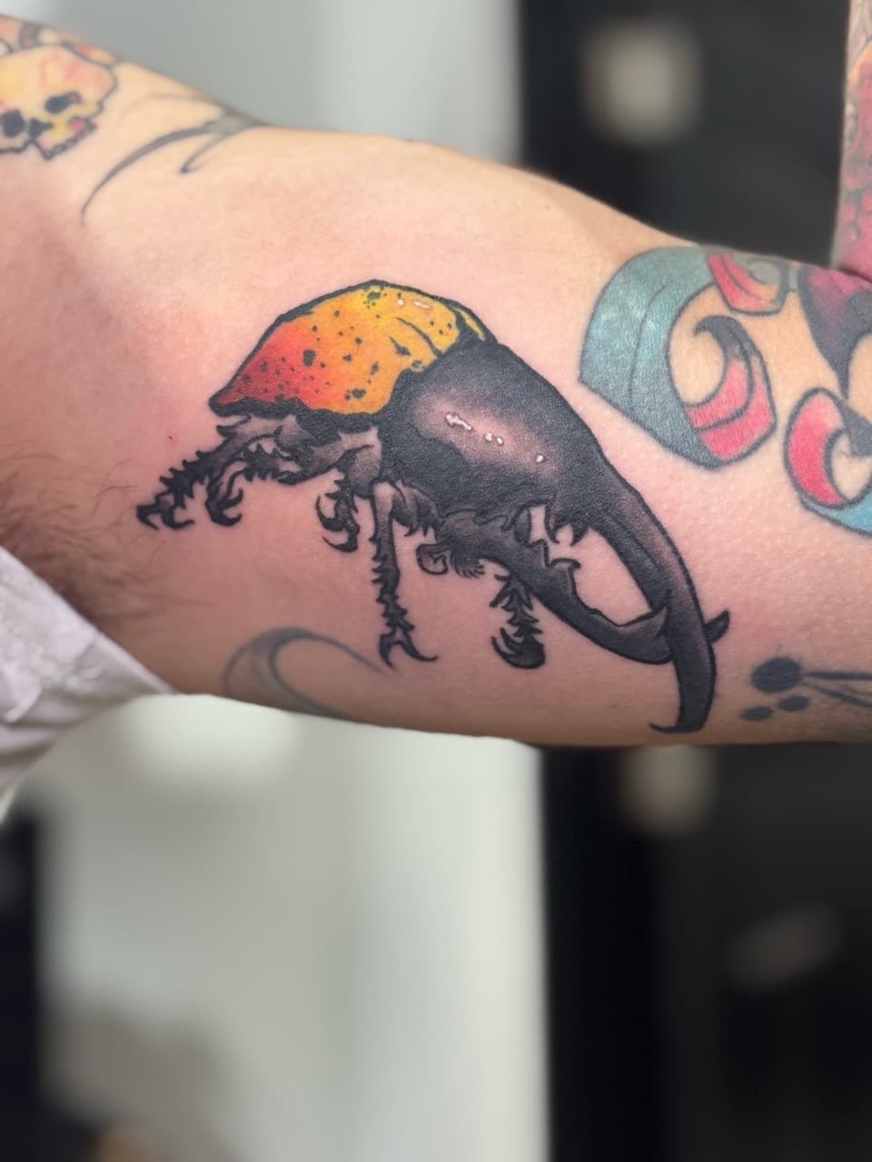 Color + Illustrative beetle tattoo on Upper Arm by Brogan_Tattoos on TattMe