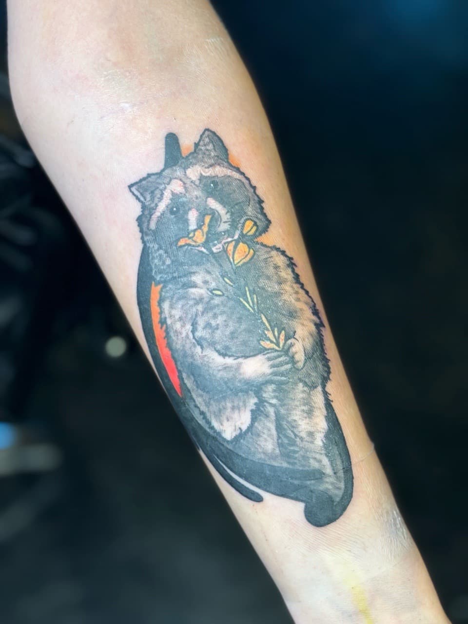 Illustrative + Color raccoon tattoo on Forearm by Brogan_Tattoos on TattMe