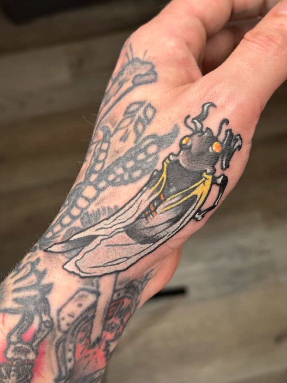 Traditional + American Traditional cicada tattoo on Hand by Brogan_Tattoos on TattMe