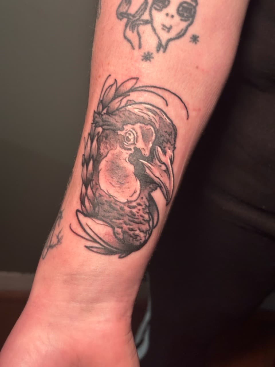 Black & Grey + Illustrative bird tattoo on Forearm by Brogan_Tattoos on TattMe