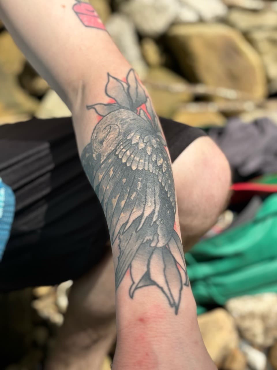 Black & Grey + Illustrative owl tattoo on Elbow by Brogan_Tattoos on TattMe