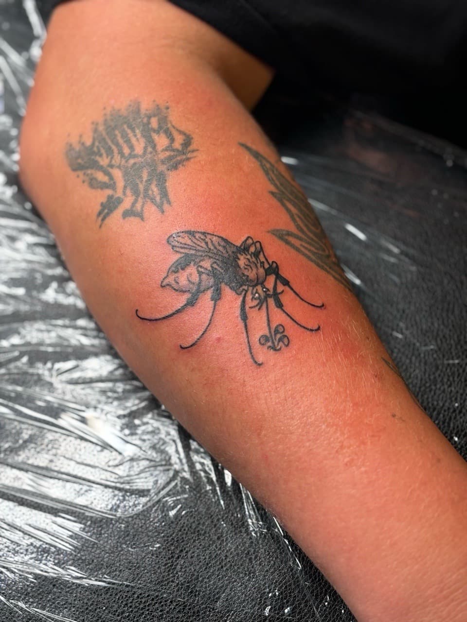 Black & Grey + Line-work mosquito tattoo on Forearm by Brogan_Tattoos on TattMe