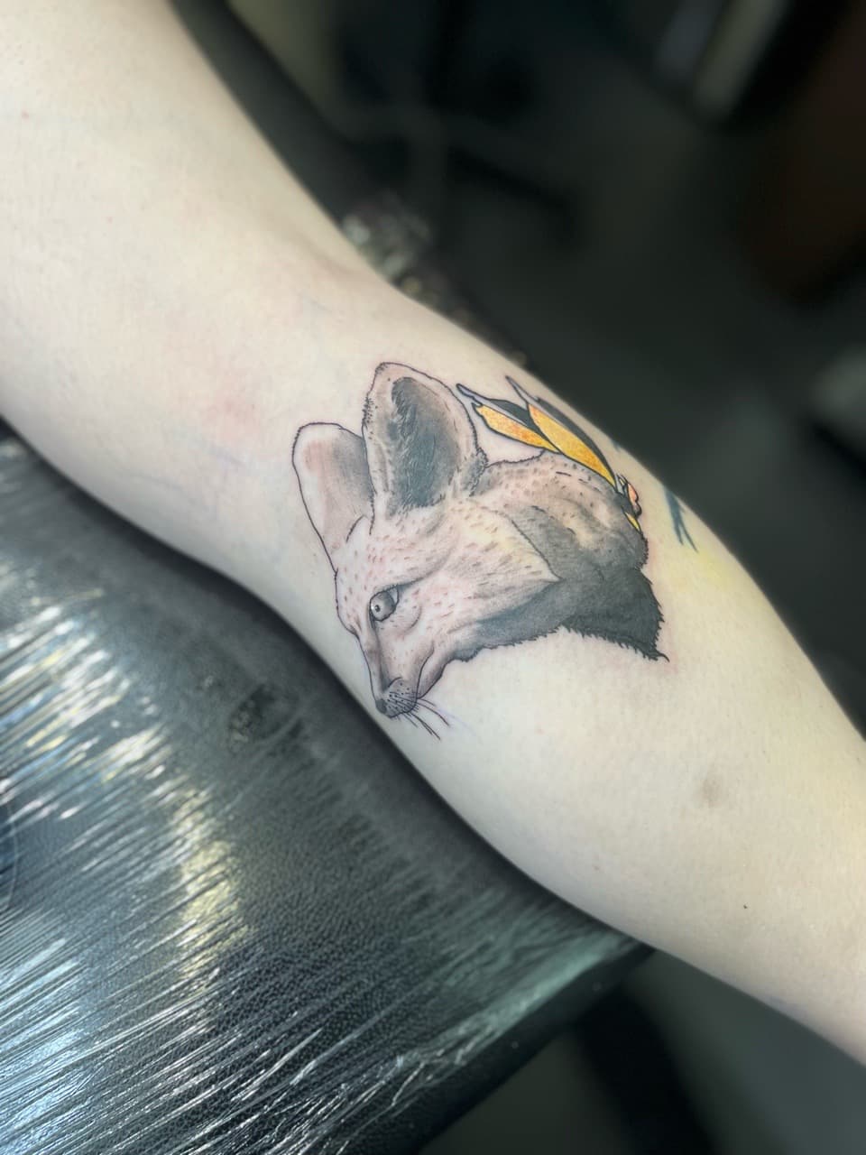 Illustrative + Black & Grey fennec fox tattoo on Forearm by Brogan_Tattoos on TattMe