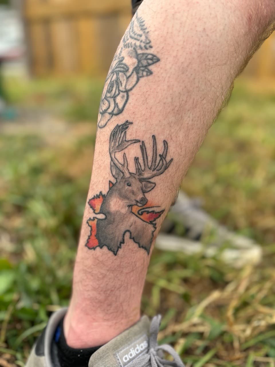 Illustrative + Color deer tattoo on Calf by Brogan_Tattoos on TattMe