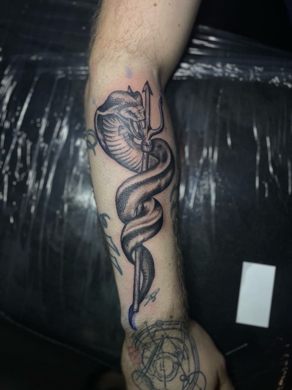 Black & Grey + Illustrative cobra tattoo on Forearm by Pain_Ink on TattMe