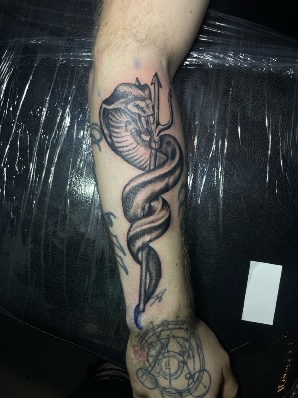 Black & Grey + Illustrative cobra tattoo on Forearm by Pain_Ink on TattMe