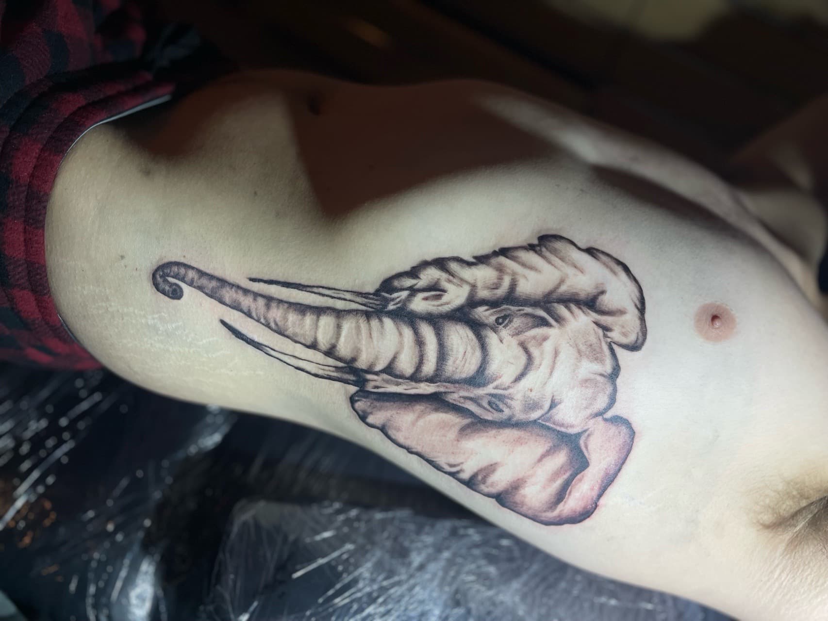 Black & Grey + Realism elephant tattoo on Ribs by Pain_Ink on TattMe