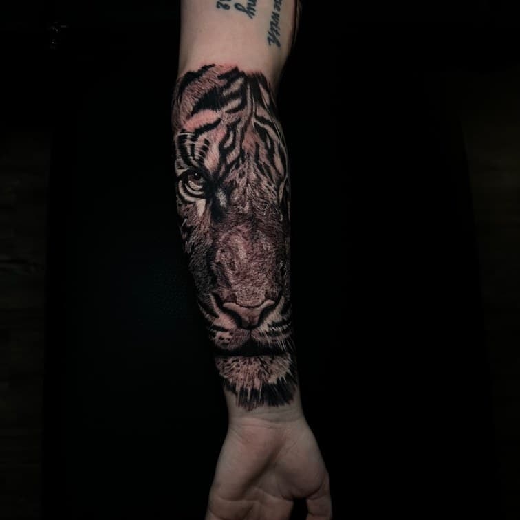 Black & Grey + Realism tiger tattoo on Forearm by Leway_Tattoos on TattMe