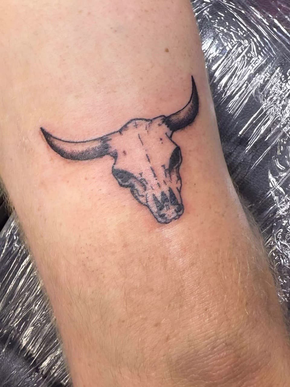 Black & Grey + Fine Line bull skull tattoo on Forearm by Taking_Art_2_The_Streets on TattMe