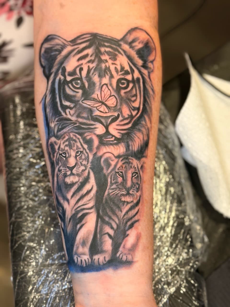 Black & Grey + Realism tigers tattoo on Forearm by InkdByHendrixx on TattMe