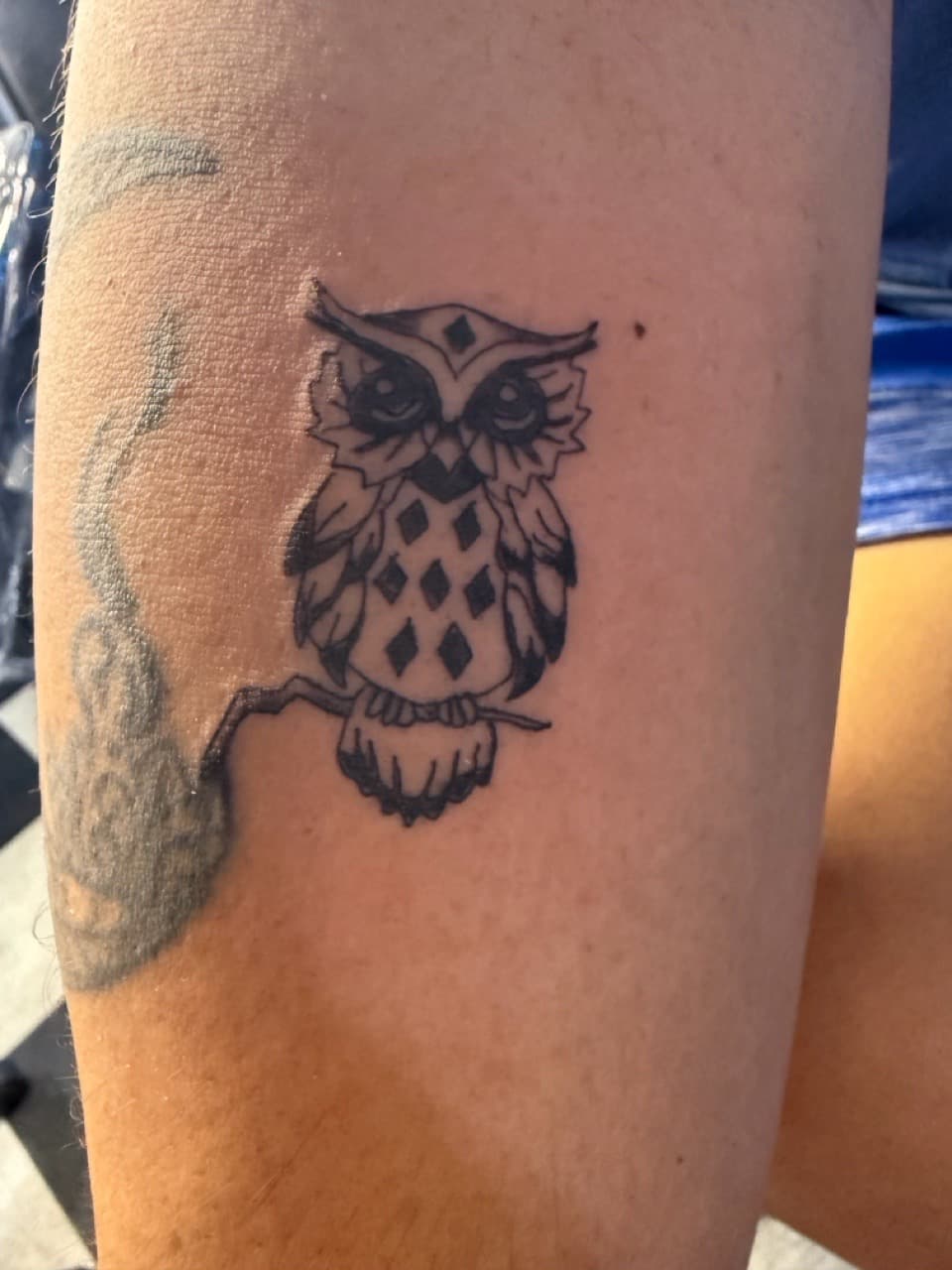 Black-work + Illustrative owl tattoo on Upper Arm by Lex on TattMe