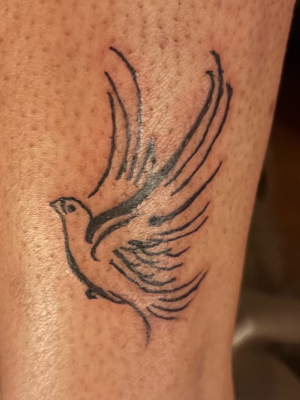 Minimalist + Black-work bird tattoo on Calf by Cut_Throat_Tattoos_and_Piercings on TattMe