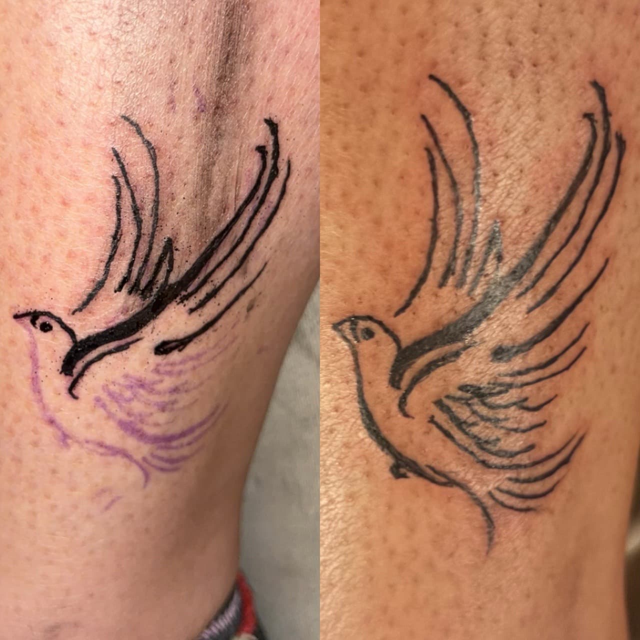 Black-work + Line-work bird tattoo by Cut_Throat_Tattoos_and_Piercings on TattMe