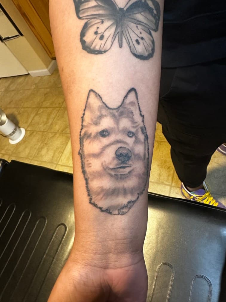 Black & Grey + Animals dog tattoo on Forearm by Trevion on TattMe