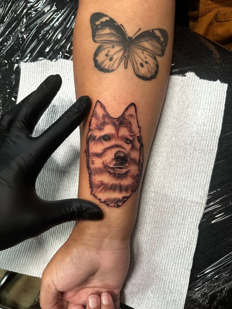 Realism + Black & Grey dog tattoo on Forearm by Trevion on TattMe