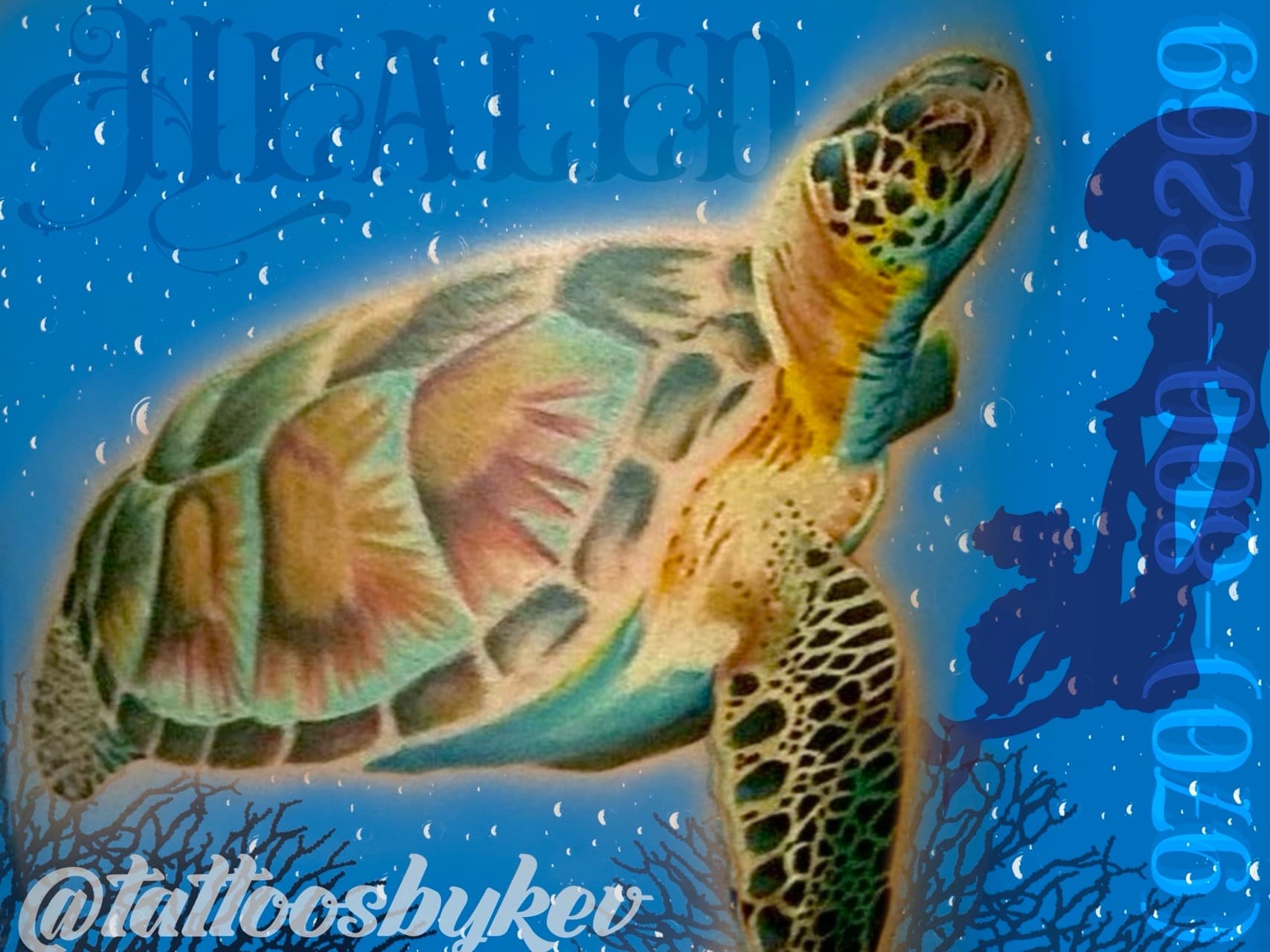 Color + Illustrative sea turtle tattoo by Tattoos_By_Kev_TBK on TattMe