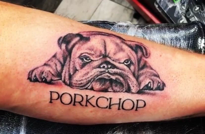Realism + Black & Grey bulldog tattoo on Forearm by KD_INKORPORATED on TattMe