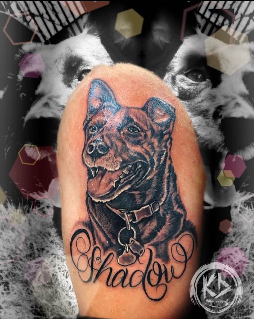 Black & Grey + Realism dog tattoo on Upper Arm by KD_INKORPORATED on TattMe