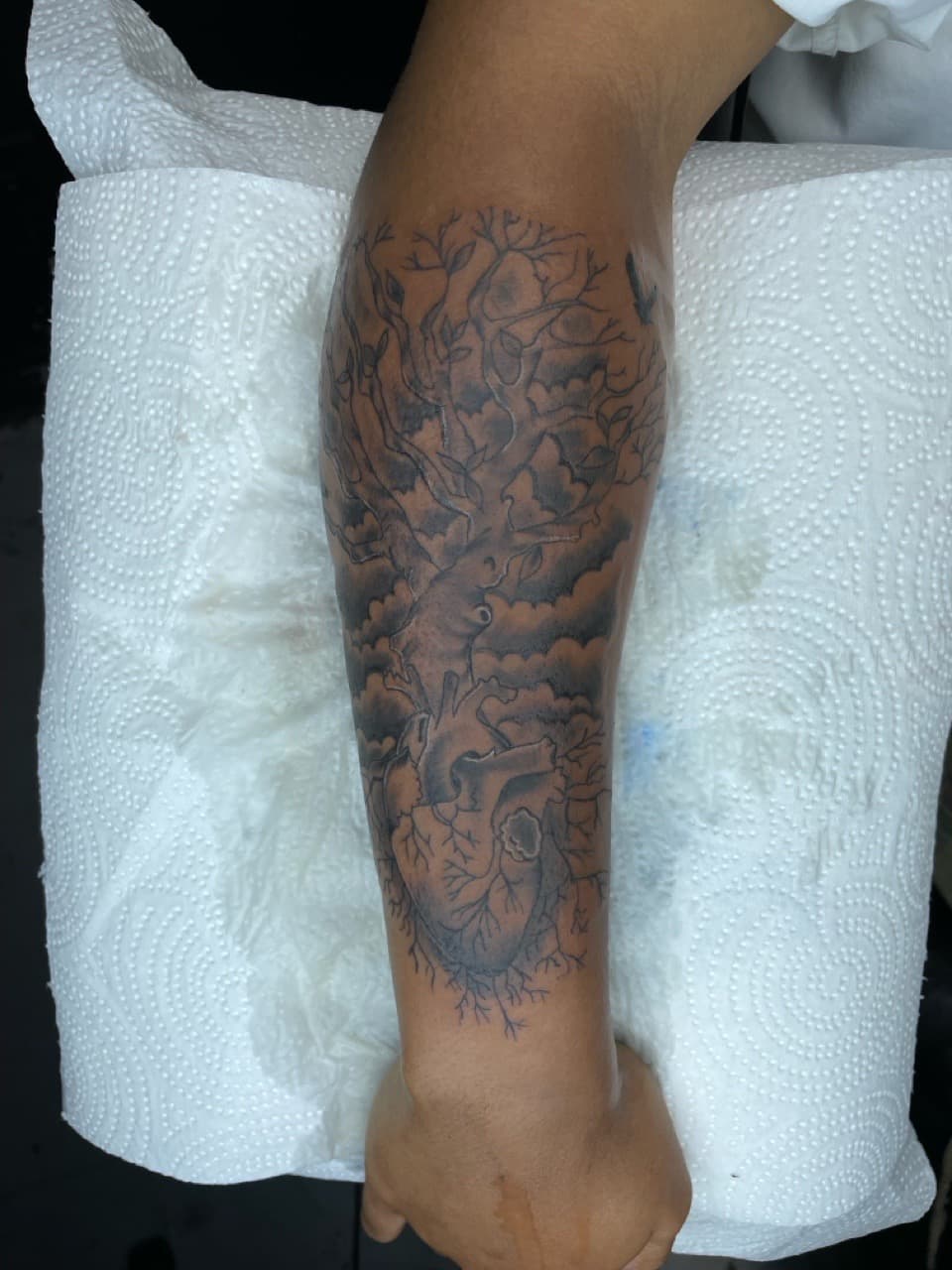 Black & Grey + Illustrative anatomical heart tattoo on Forearm by Bizzarreink on TattMe