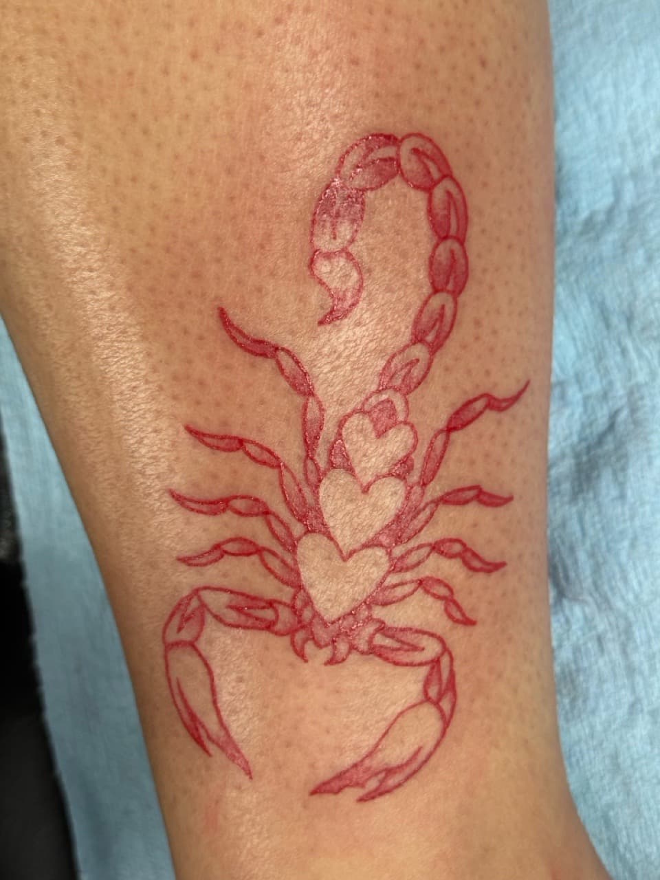 Fine Line + Color scorpion tattoo on Calf by Edwaun_Randall on TattMe