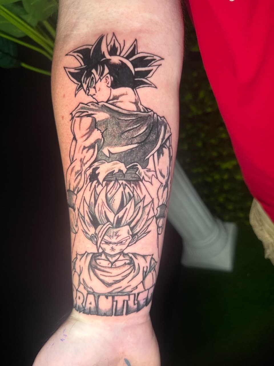 Anime + Pop Culture goku tattoo on Forearm by Edwaun_Randall on TattMe