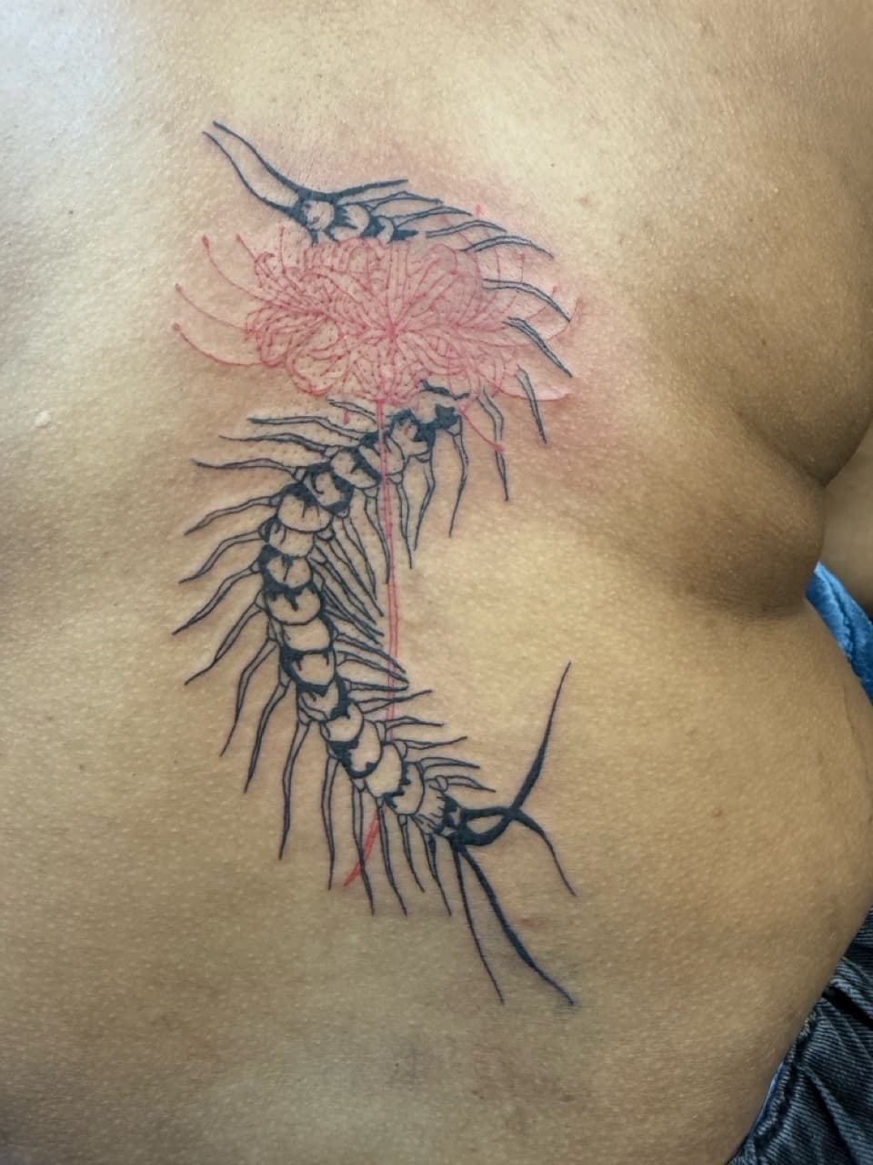 Illustrative + Line-work centipede tattoo on Shoulder Blade by Edwaun_Randall on TattMe