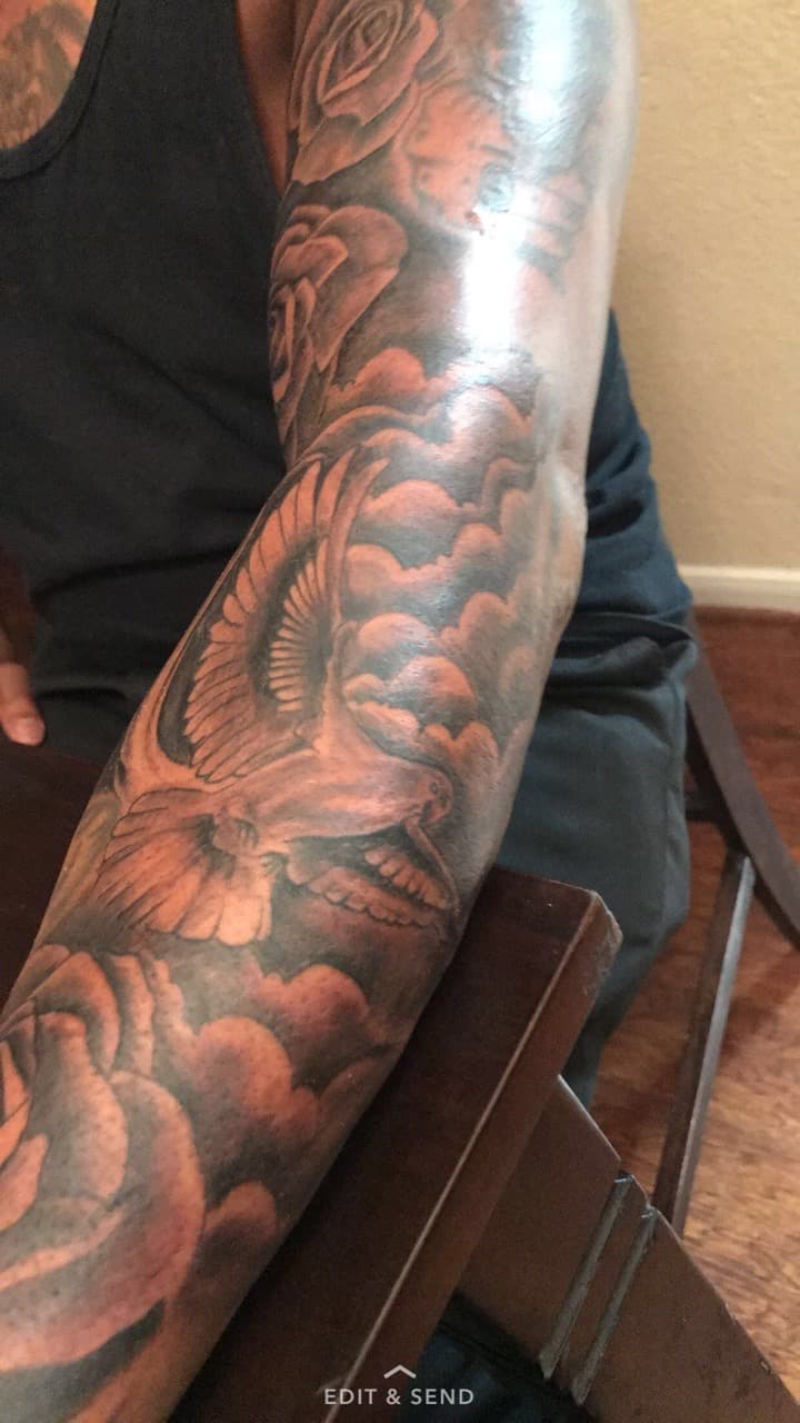 Black & Grey + Realism dove tattoo on Half Sleeve by Mafia_Ink on TattMe