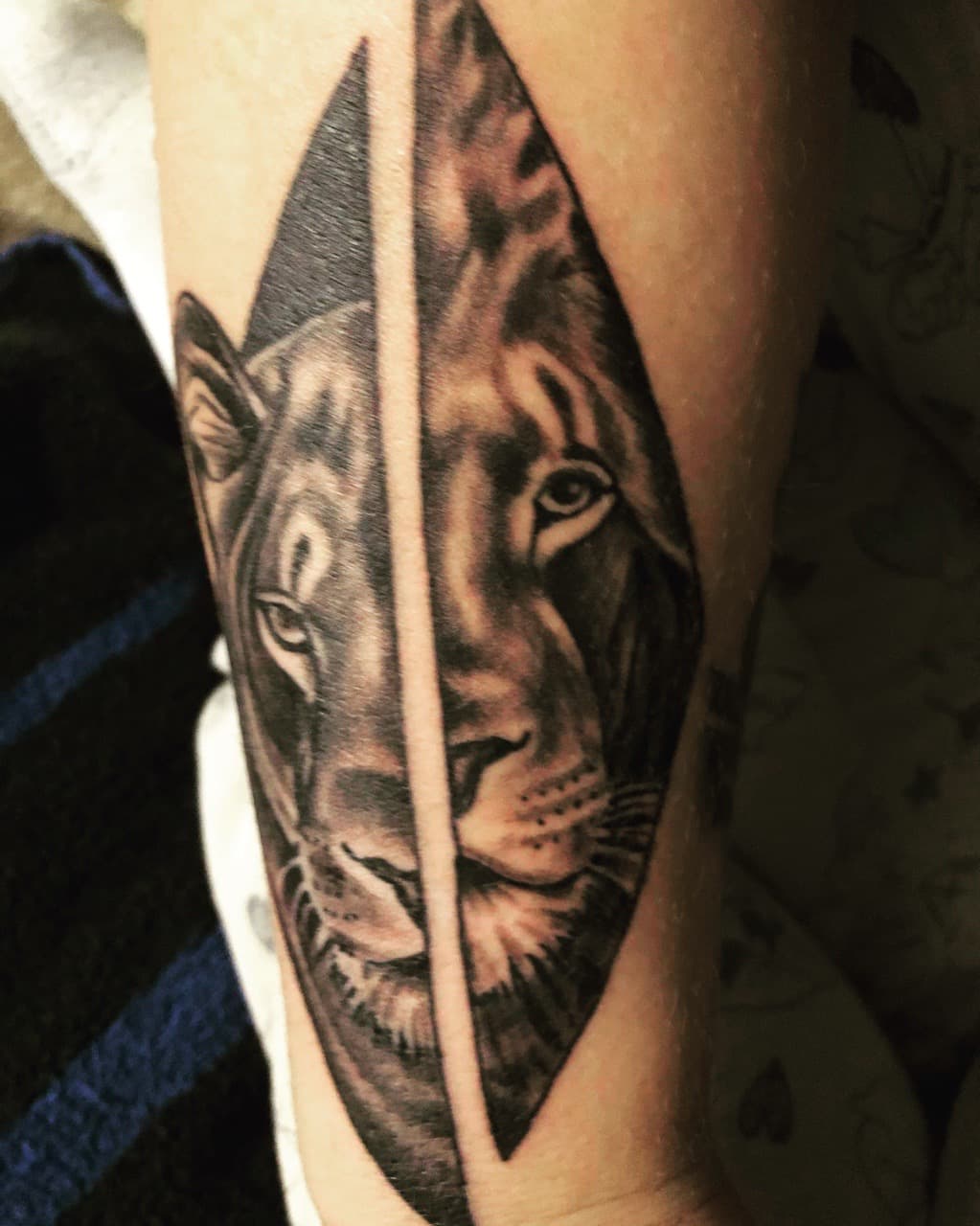 Realism + Black & Grey lioness tattoo on Forearm by Mafia_Ink on TattMe