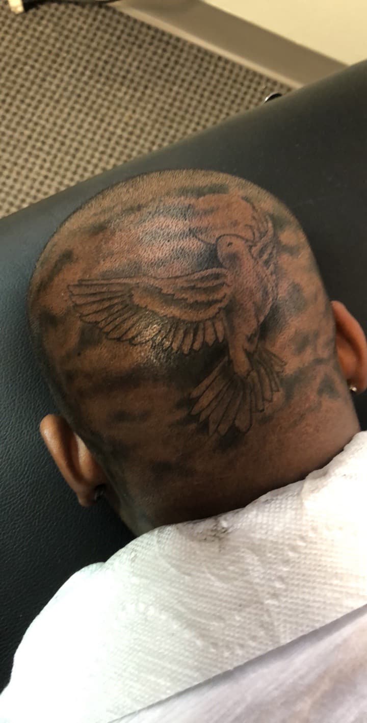 Black & Grey + Illustrative dove tattoo on Scalp by Mafia_Ink on TattMe