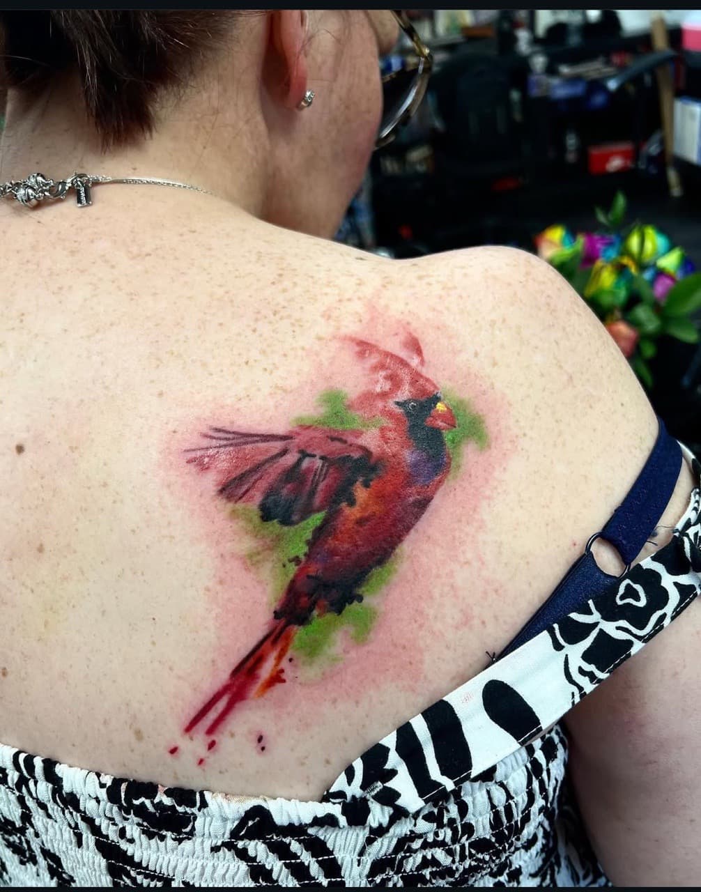 Watercolor + Color cardinal tattoo on Shoulder Blade by abutattoo1 on TattMe