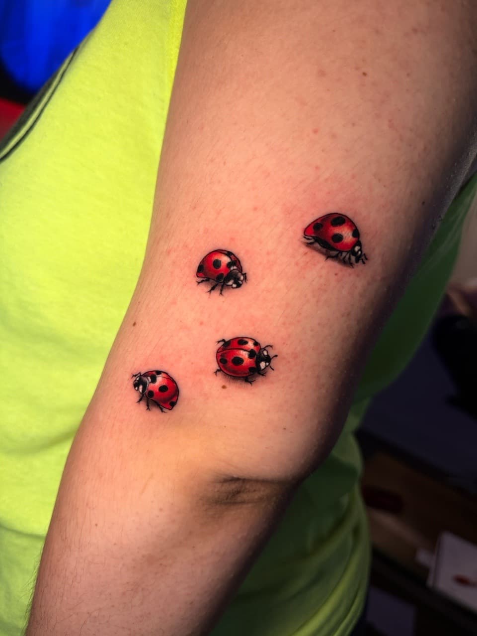 Color + Illustrative ladybugs tattoo on Upper Arm by Ria_Rabitt on TattMe