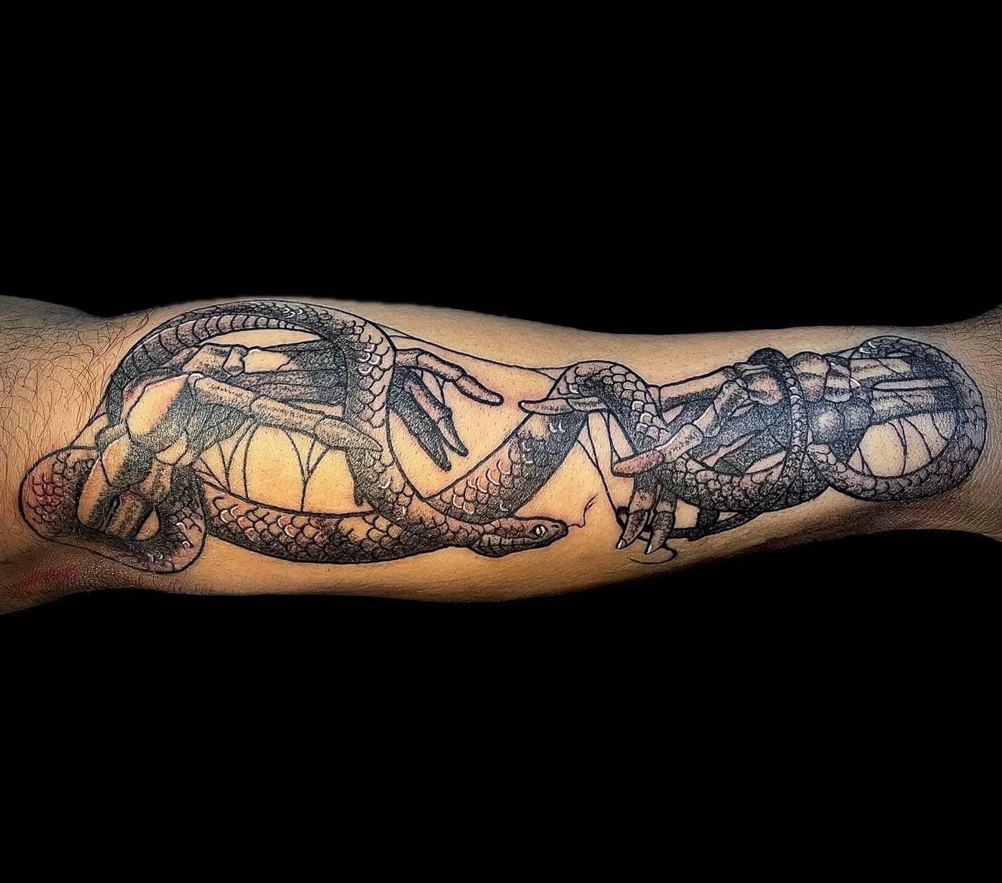Black & Grey + Illustrative snakes tattoo on Forearm by graypaint on TattMe