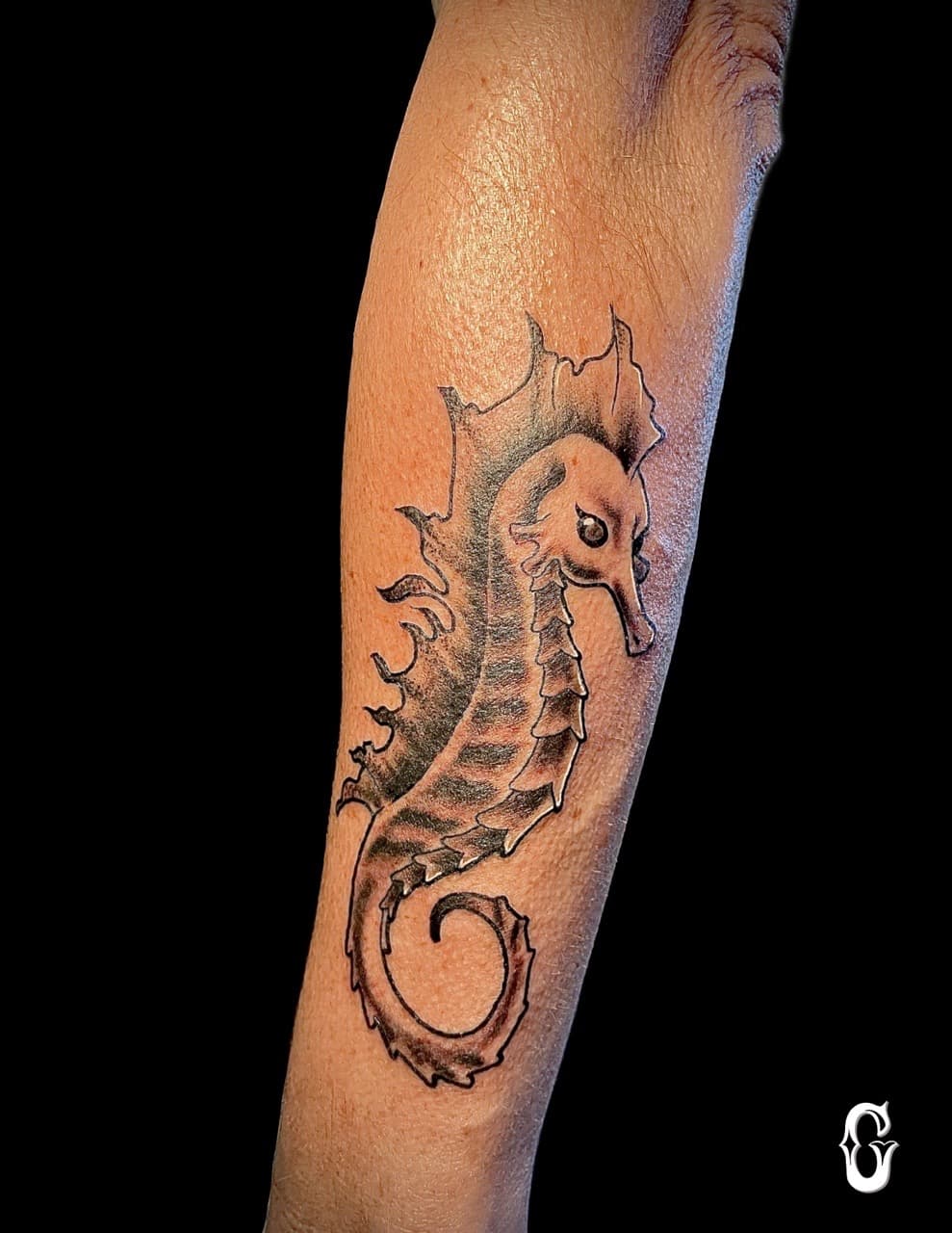 Black & Grey + Illustrative seahorse tattoo on Forearm by graypaint on TattMe