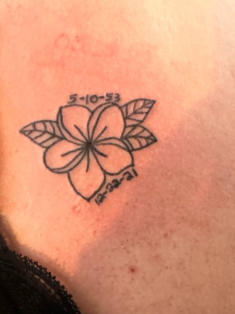 Line-work + Fine Line flower tattoo on Upper Back by TattsByBoogzz on TattMe