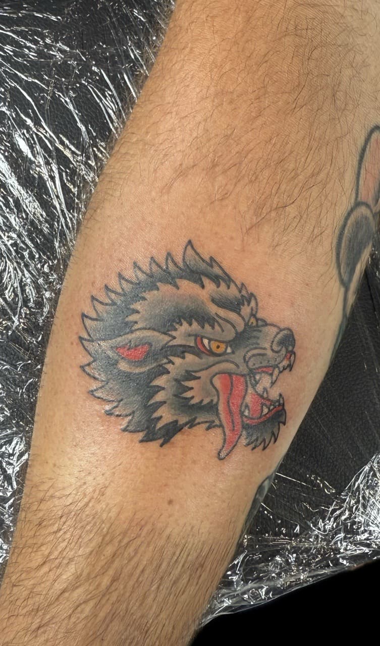 Traditional + Color wolf tattoo on Forearm by Carmela_Bella on TattMe