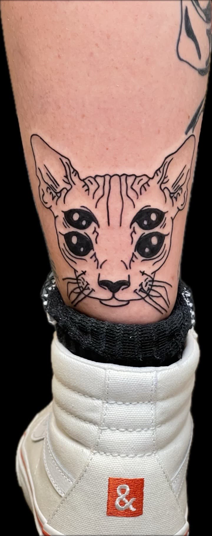 Line-work + Black-work cat tattoo on Ankle by Carmela_Bella on TattMe