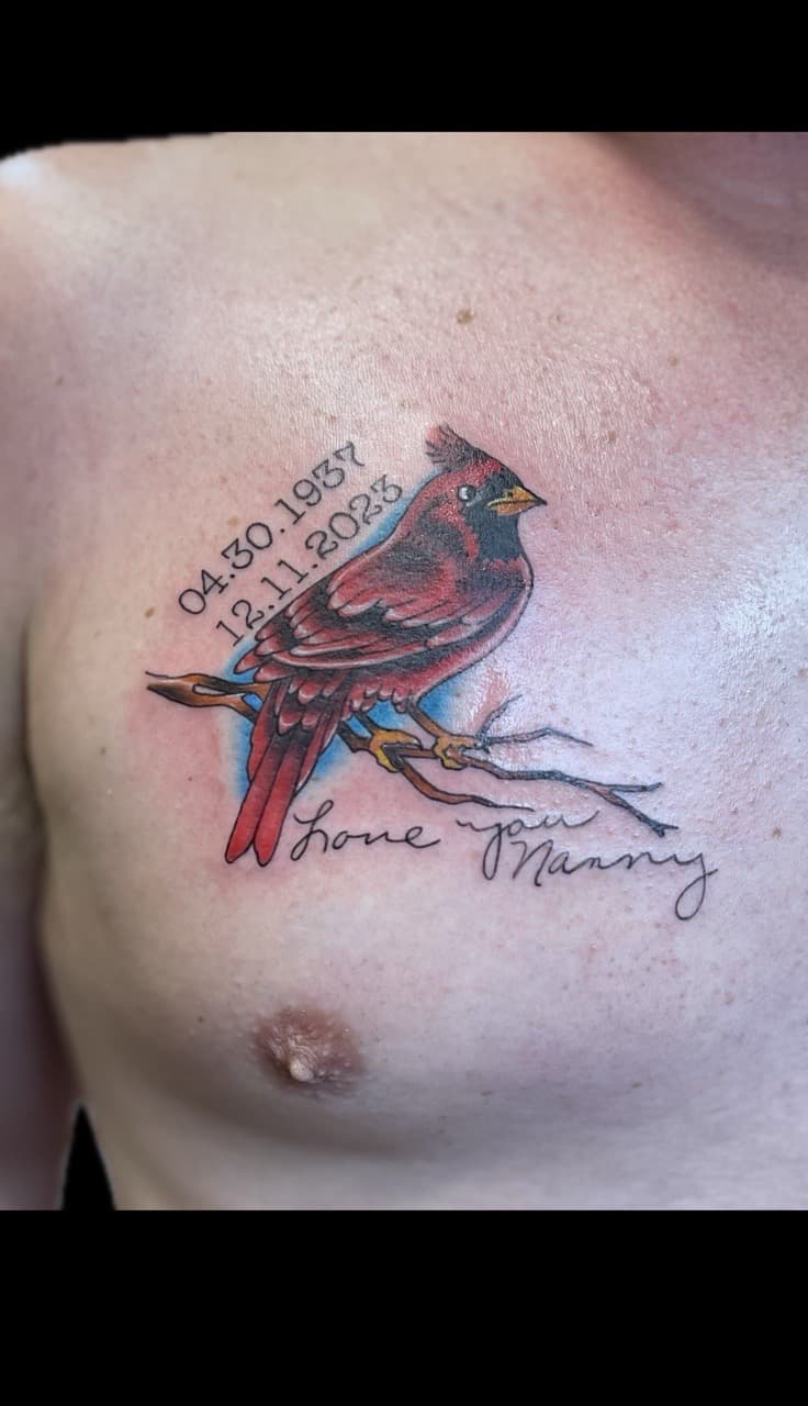 Color + Illustrative cardinal tattoo on Chest by Carmela_Bella on TattMe