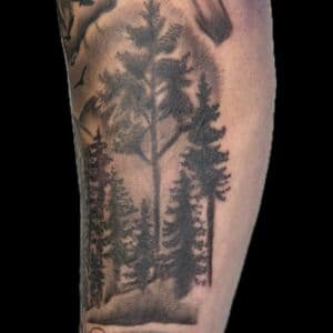 Black & Grey + Illustrative mountains tattoo on Forearm by Carmela_Bella on TattMe
